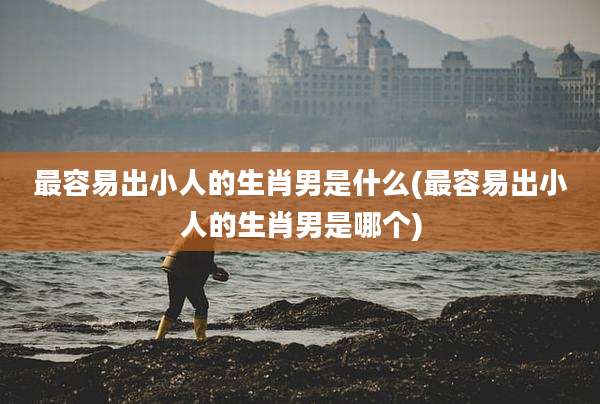 最容易出小人的生肖男是什么(最容易出小人的生肖男是哪个)