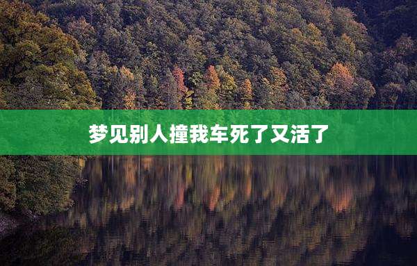 梦见别人撞我车死了又活了
