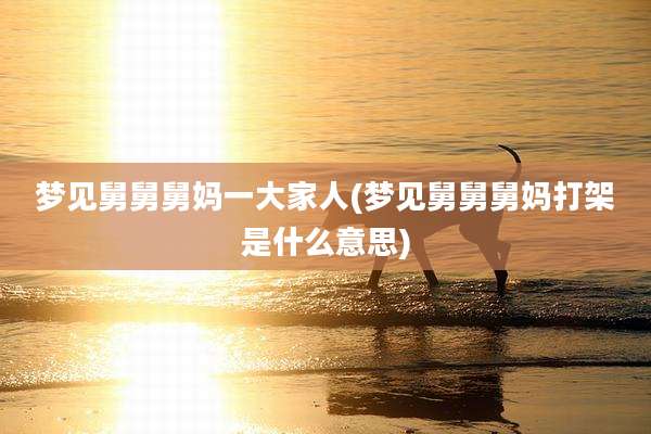 梦见舅舅舅妈一大家人(梦见舅舅舅妈打架是什么意思)
