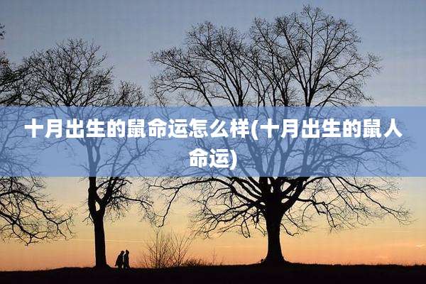 十月出生的鼠命运怎么样(十月出生的鼠人命运)