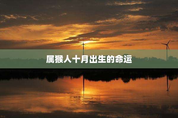 属猴人十月出生的命运