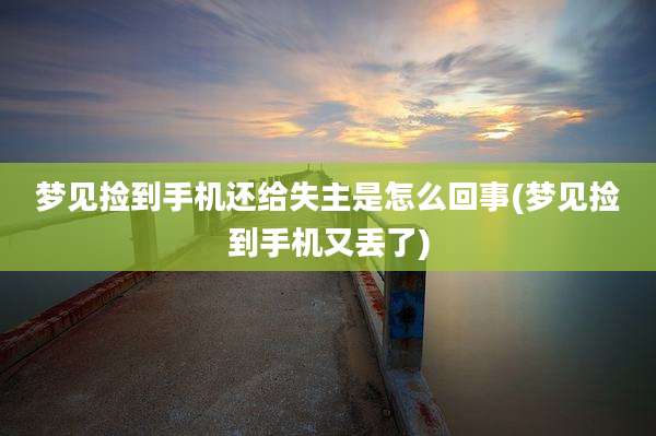 梦见捡到手机还给失主是怎么回事(梦见捡到手机又丢了)