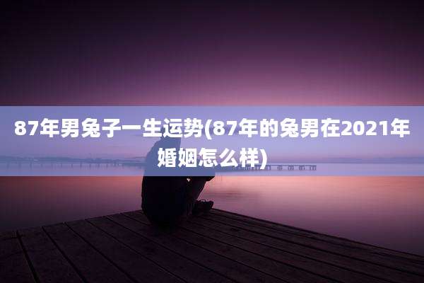 87年男兔子一生运势(87年的兔男在2021年婚姻怎么样)