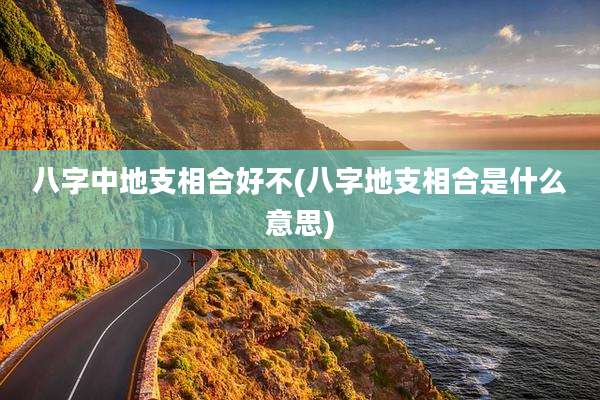 八字中地支相合好不(八字地支相合是什么意思)