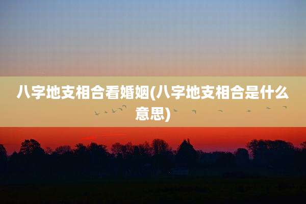 八字地支相合看婚姻(八字地支相合是什么意思)