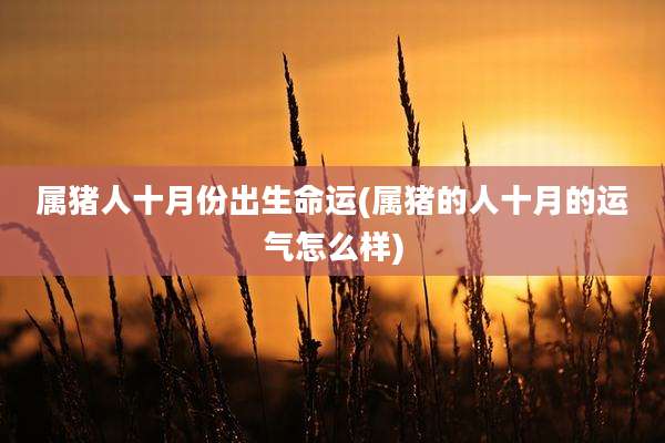 属猪人十月份出生命运(属猪的人十月的运气怎么样)