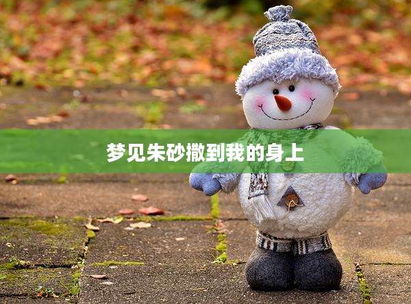 梦见朱砂撒到我的身上