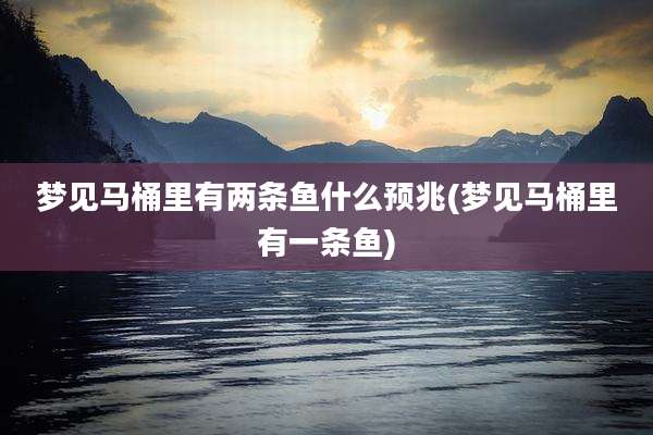 梦见马桶里有两条鱼什么预兆(梦见马桶里有一条鱼)