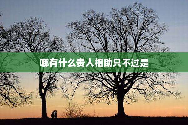 哪有什么贵人相助只不过是
