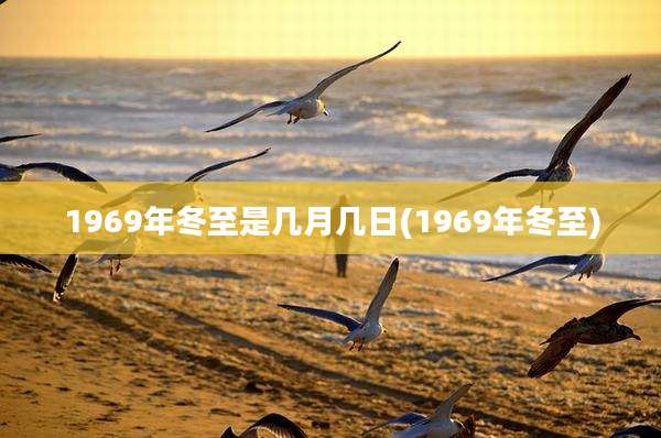 1969年冬至是几月几日(1969年冬至)