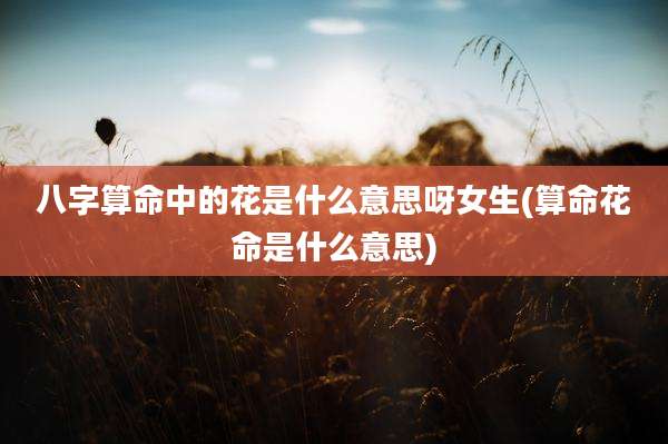 八字算命中的花是什么意思呀女生(算命花命是什么意思)