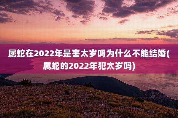 属蛇在2022年是害太岁吗为什么不能结婚(属蛇的2022年犯太岁吗)