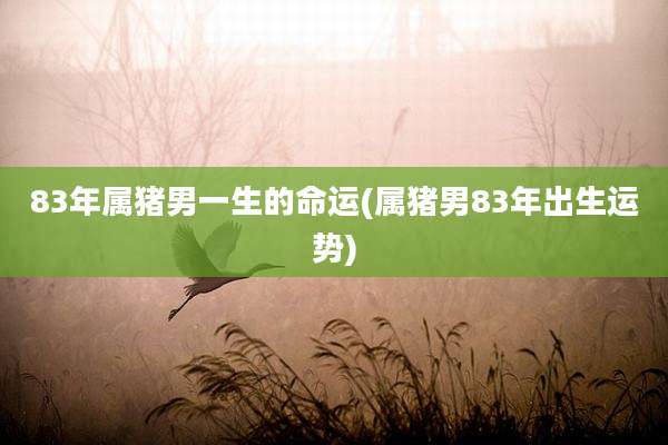 83年属猪男一生的命运(属猪男83年出生运势)