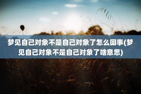 梦见自己对象不是自己对象了怎么回事(梦见自己对象不是自己对象了啥意思)