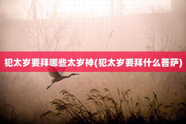 犯太岁要拜哪些太岁神(犯太岁要拜什么菩萨)