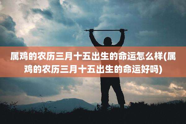 属鸡的农历三月十五出生的命运怎么样(属鸡的农历三月十五出生的命运好吗)