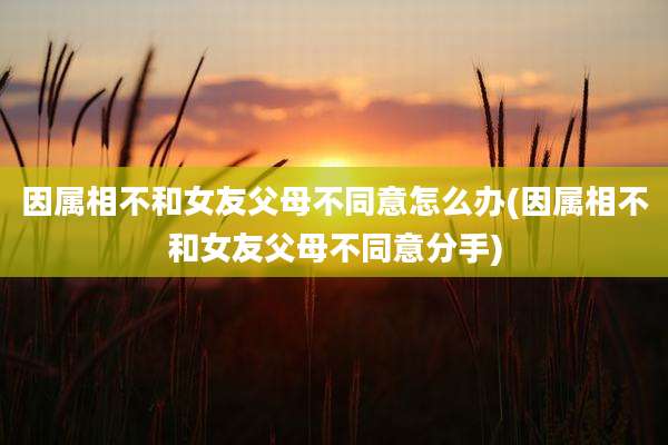 因属相不和女友父母不同意怎么办(因属相不和女友父母不同意分手)