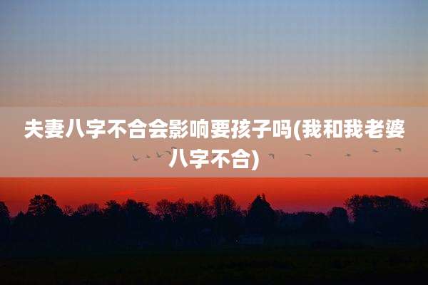 夫妻八字不合会影响要孩子吗(我和我老婆八字不合)