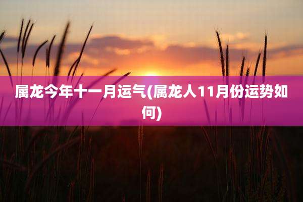 属龙今年十一月运气(属龙人11月份运势如何)