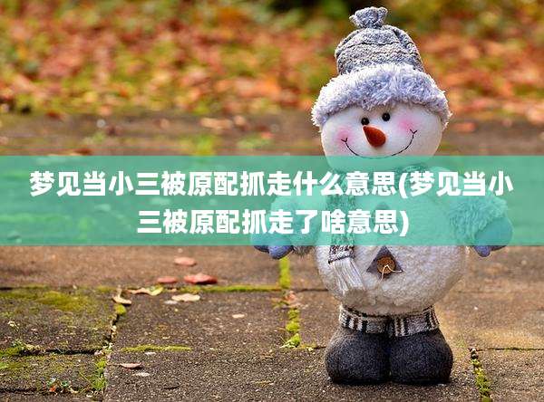 梦见当小三被原配抓走什么意思(梦见当小三被原配抓走了啥意思)