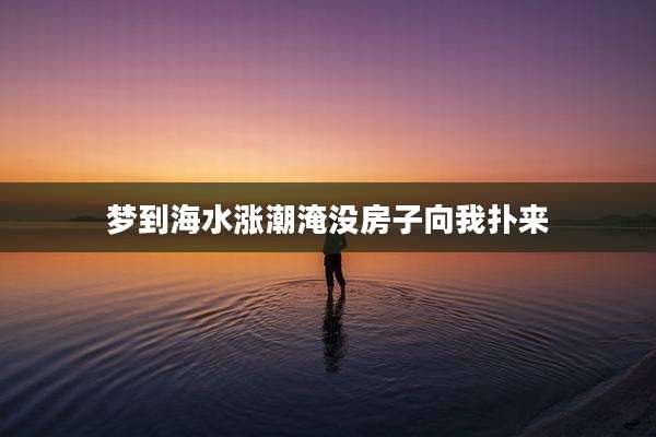 梦到海水涨潮淹没房子向我扑来