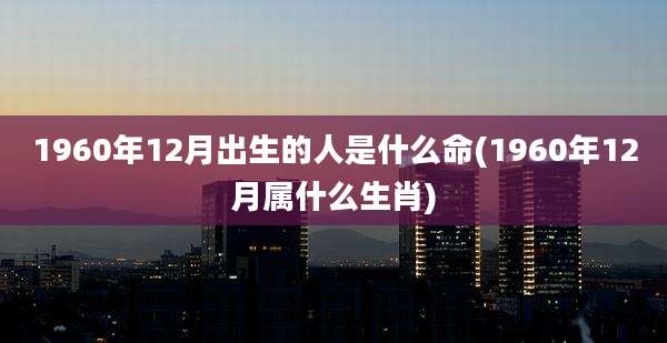 1960年12月出生的人是什么命(1960年12月属什么生肖)