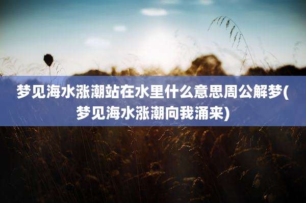 梦见海水涨潮站在水里什么意思周公解梦(梦见海水涨潮向我涌来)