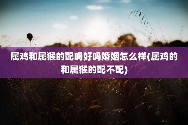 属鸡和属猴的配吗好吗婚姻怎么样(属鸡的和属猴的配不配)