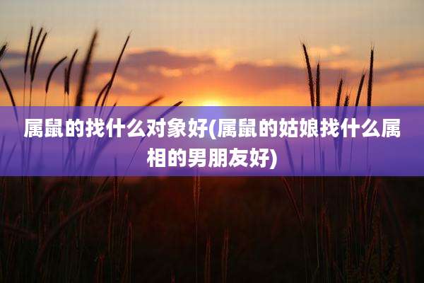 属鼠的找什么对象好(属鼠的姑娘找什么属相的男朋友好)