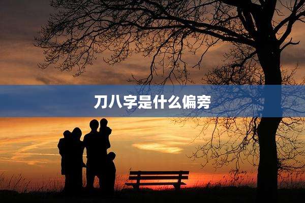 刀八字是什么偏旁
