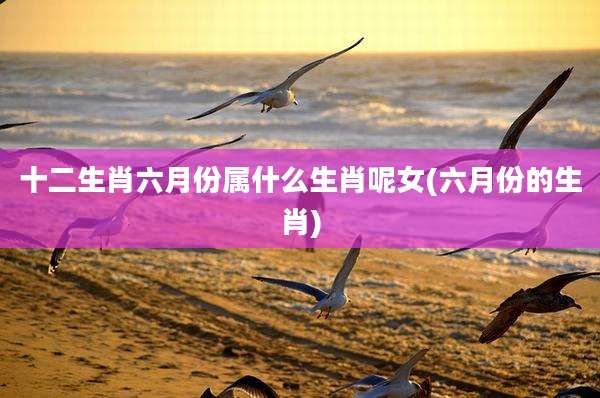 十二生肖六月份属什么生肖呢女(六月份的生肖)