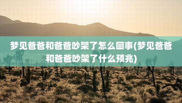 梦见爸爸和爸爸吵架了怎么回事(梦见爸爸和爸爸吵架了什么预兆)