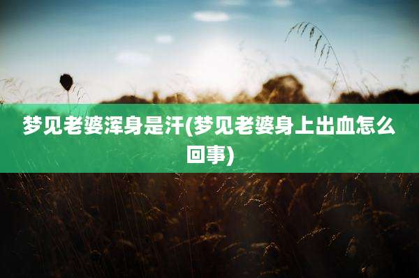 梦见老婆浑身是汗(梦见老婆身上出血怎么回事)