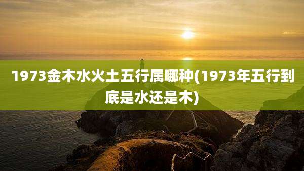 1973金木水火土五行属哪种(1973年五行到底是水还是木)