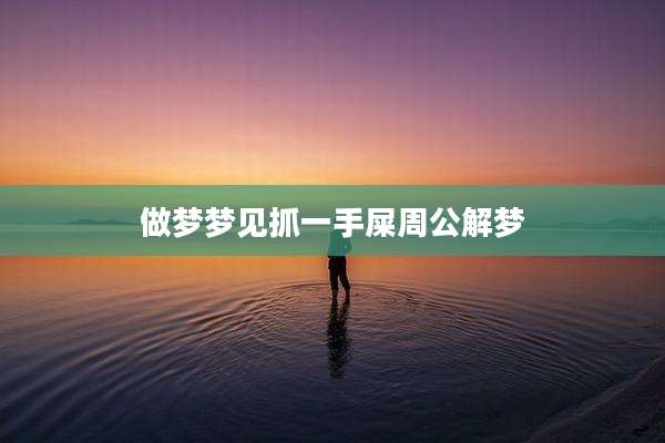 做梦梦见抓一手屎周公解梦