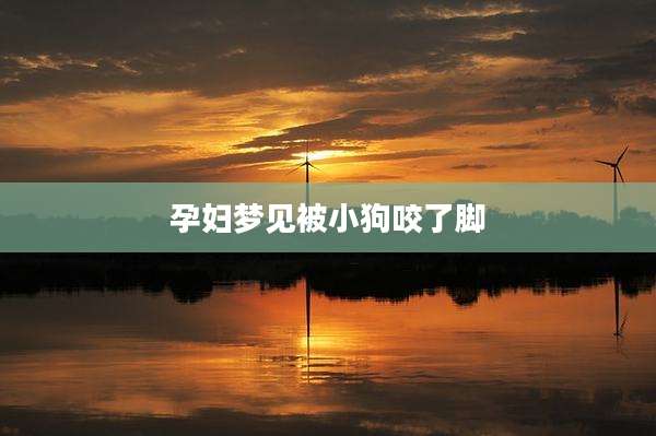 孕妇梦见被小狗咬了脚