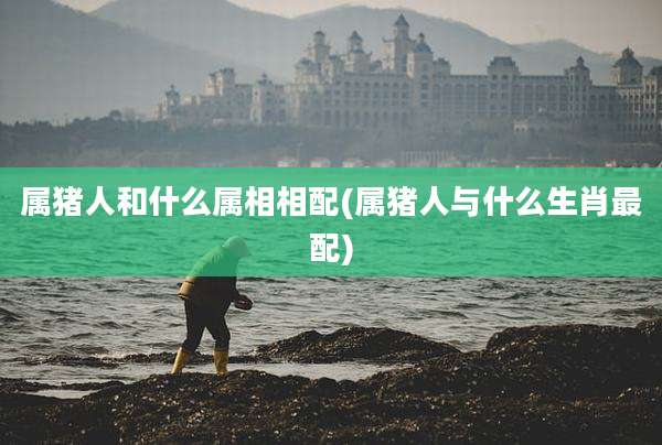 属猪人和什么属相相配(属猪人与什么生肖最配)