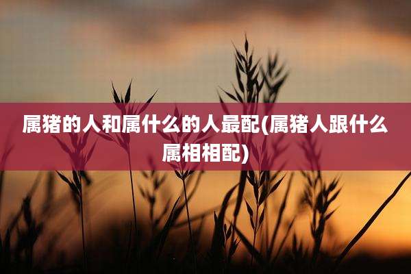 属猪的人和属什么的人最配(属猪人跟什么属相相配)