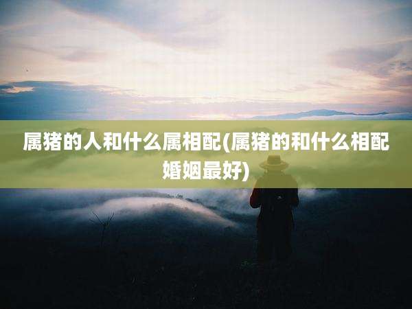 属猪的人和什么属相配(属猪的和什么相配婚姻最好)