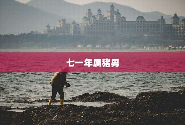 七一年属猪男