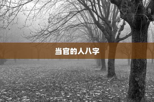当官的人八字