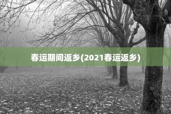 春运期间返乡(2021春运返乡)