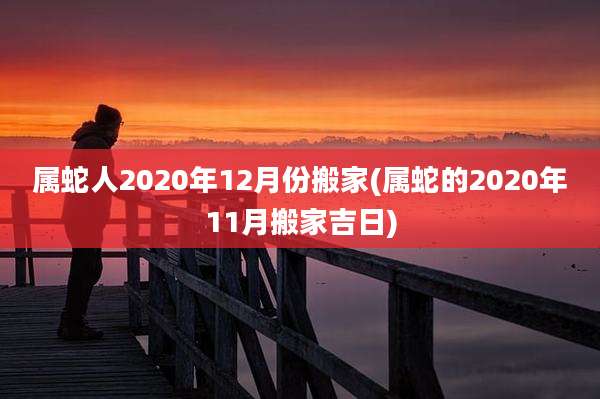 属蛇人2020年12月份搬家(属蛇的2020年11月搬家吉日)