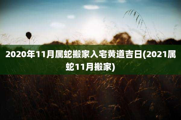 2020年11月属蛇搬家入宅黄道吉日(2021属蛇11月搬家)