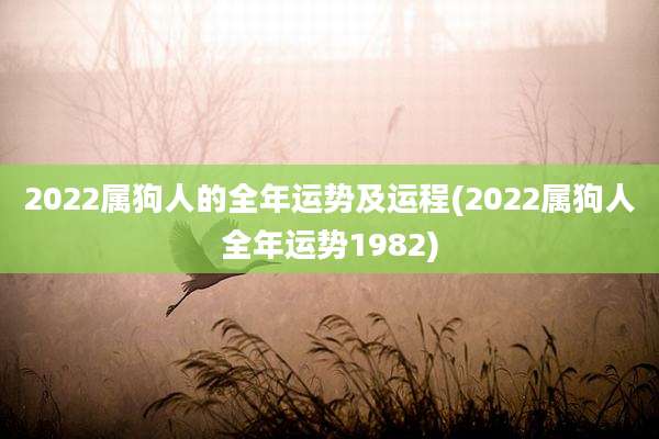 2022属狗人的全年运势及运程(2022属狗人全年运势1982)