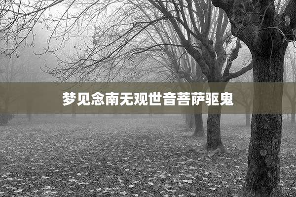 梦见念南无观世音菩萨驱鬼