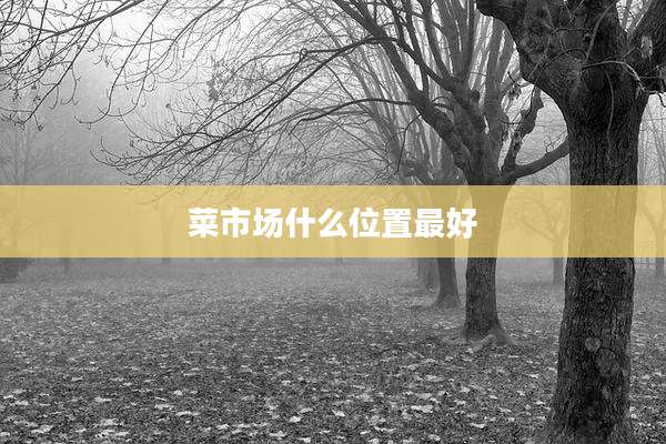 菜市场什么位置最好