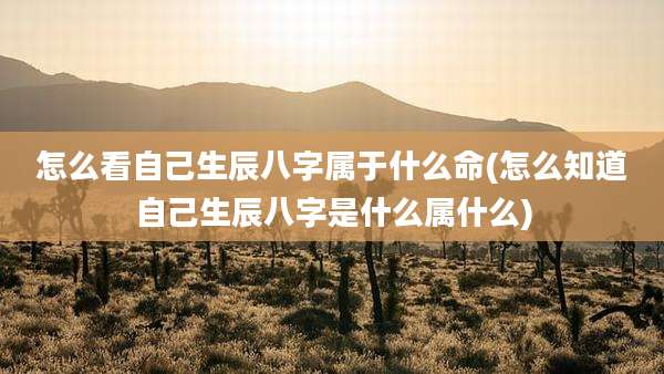 怎么看自己生辰八字属于什么命(怎么知道自己生辰八字是什么属什么)