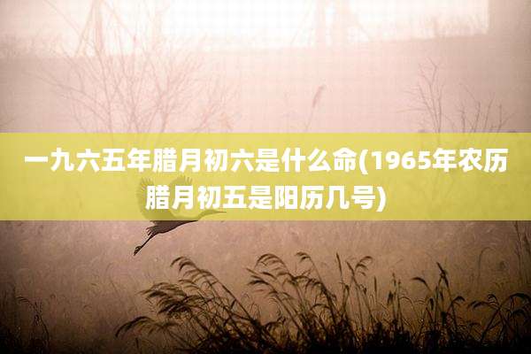 一九六五年腊月初六是什么命(1965年农历腊月初五是阳历几号)
