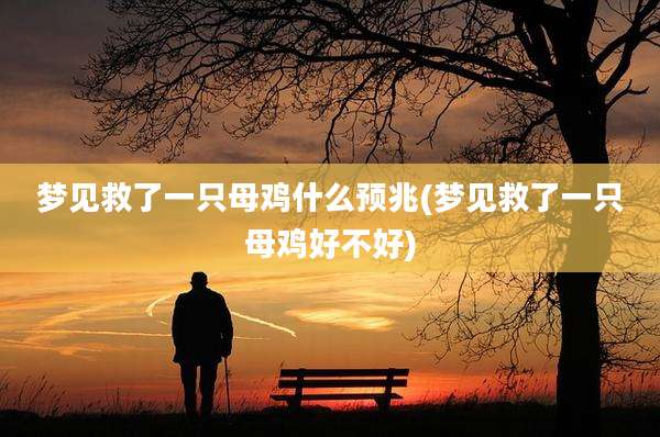 梦见救了一只母鸡什么预兆(梦见救了一只母鸡好不好)